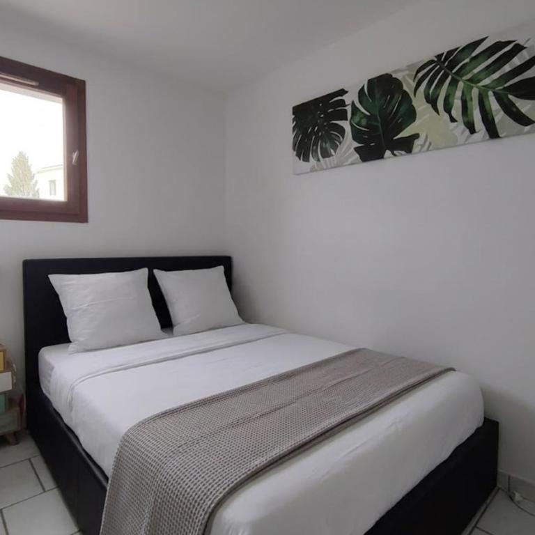 Appartement duplex face au port 50 m des plages - Appartement - 15