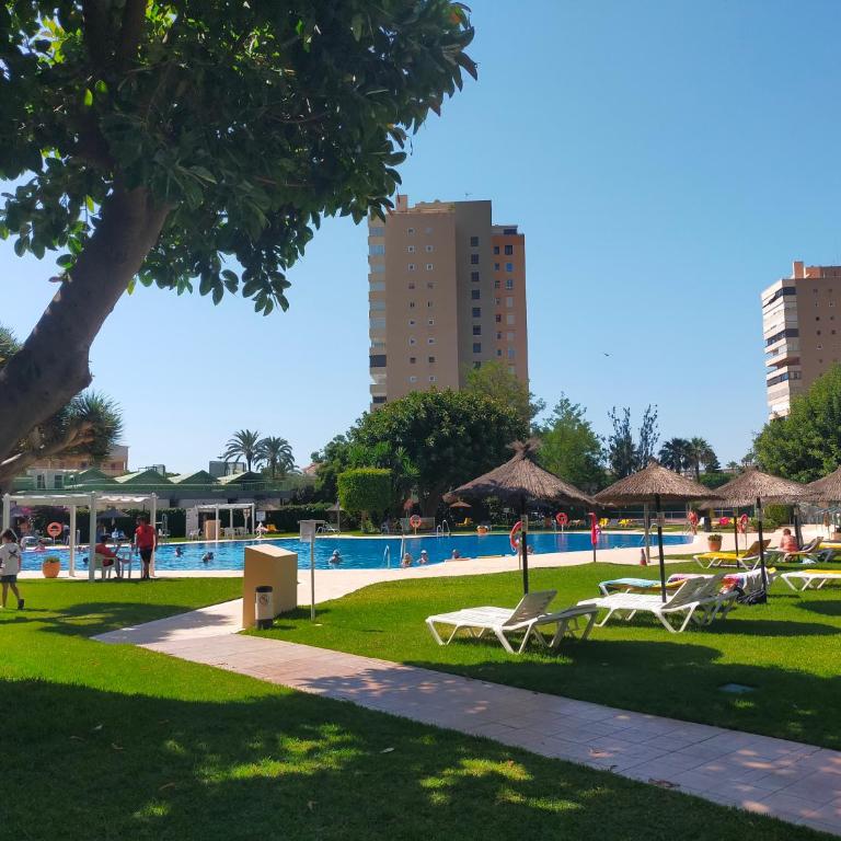 PLAYAMAR Pool Beach - Apartamento de 1 dormitorio - 49