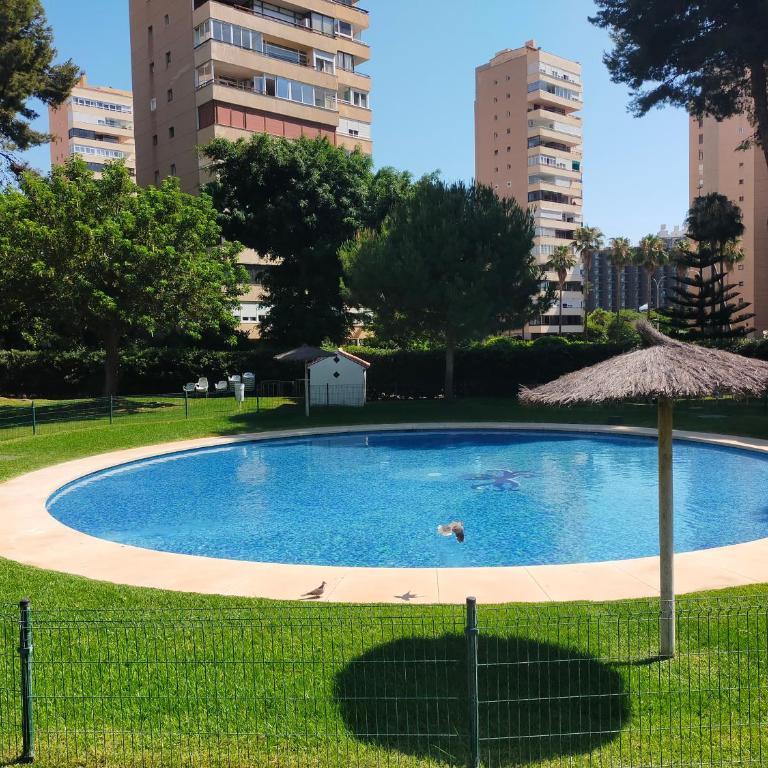 PLAYAMAR Pool Beach - Apartamento de 1 dormitorio - 63