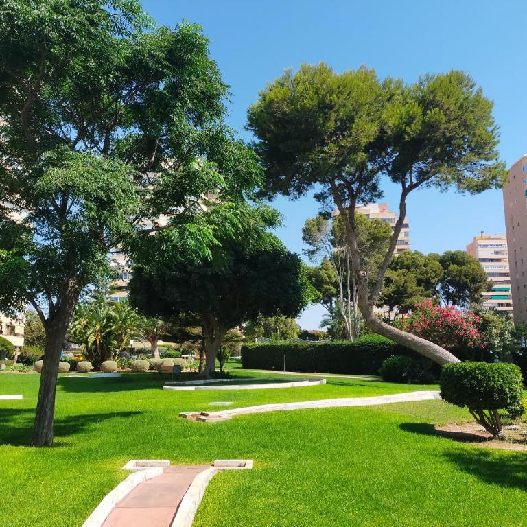 PLAYAMAR Pool Beach - Apartamento de 1 dormitorio - 68