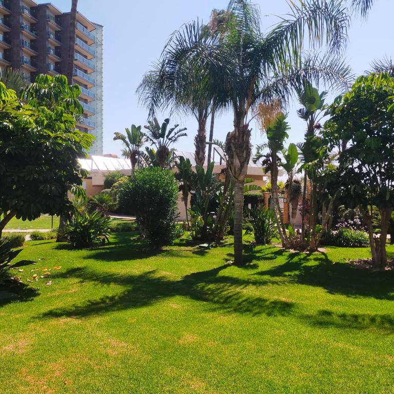 PLAYAMAR Pool Beach - Apartamento de 1 dormitorio - 76