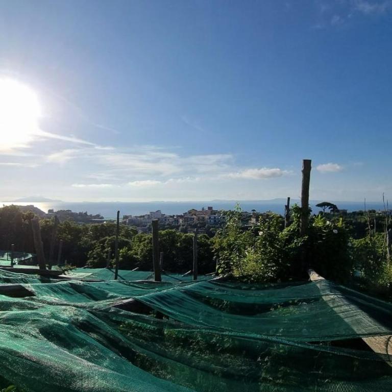 Casa Vinaccia - Two-Bedroom House - 20