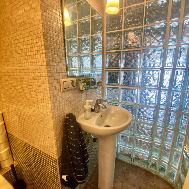 Wonderful Loft in Cala Salionç - Apartamento de 1 dormitorio - 12