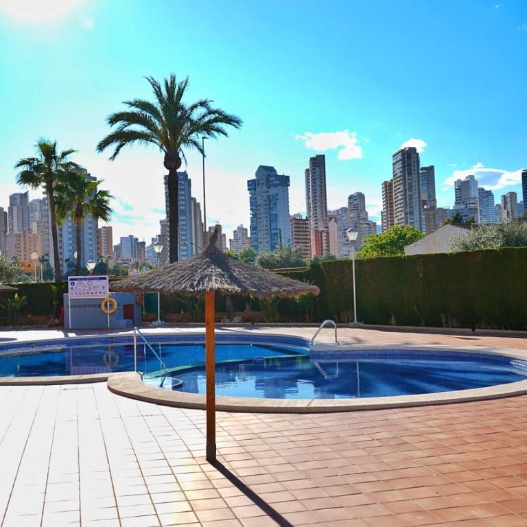 Stunning New Apartament One Bedroom - One-Bedroom Apartment - 26