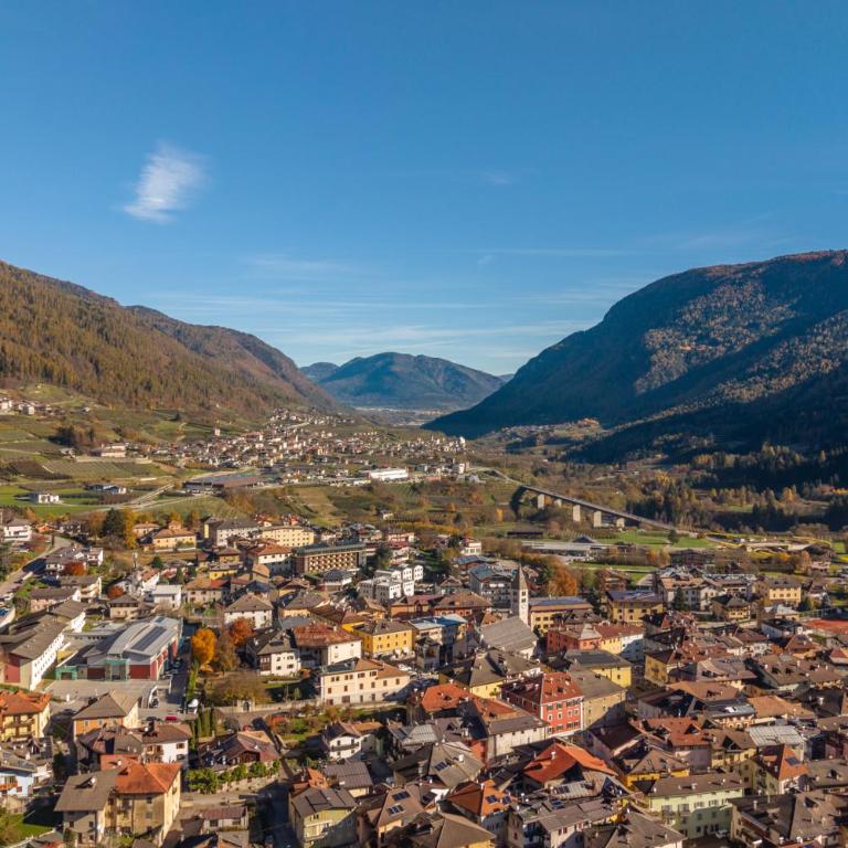Armonia - Your Alpine Hideaway - Appartamento - 33