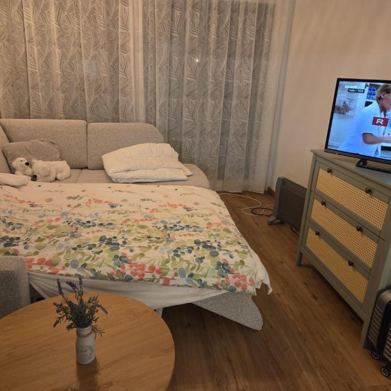 Ferienwohnung am Ossiachersee - Appartement 1 Chambre - 5