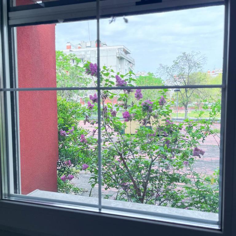 Costa apt 3 bedrooms Ideal for Groups Near Arena - Three-Bedroom Apartment - 4