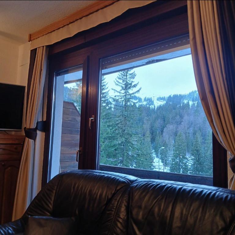 Jahorina Ski View Apartman - One-Bedroom Apartment - 7