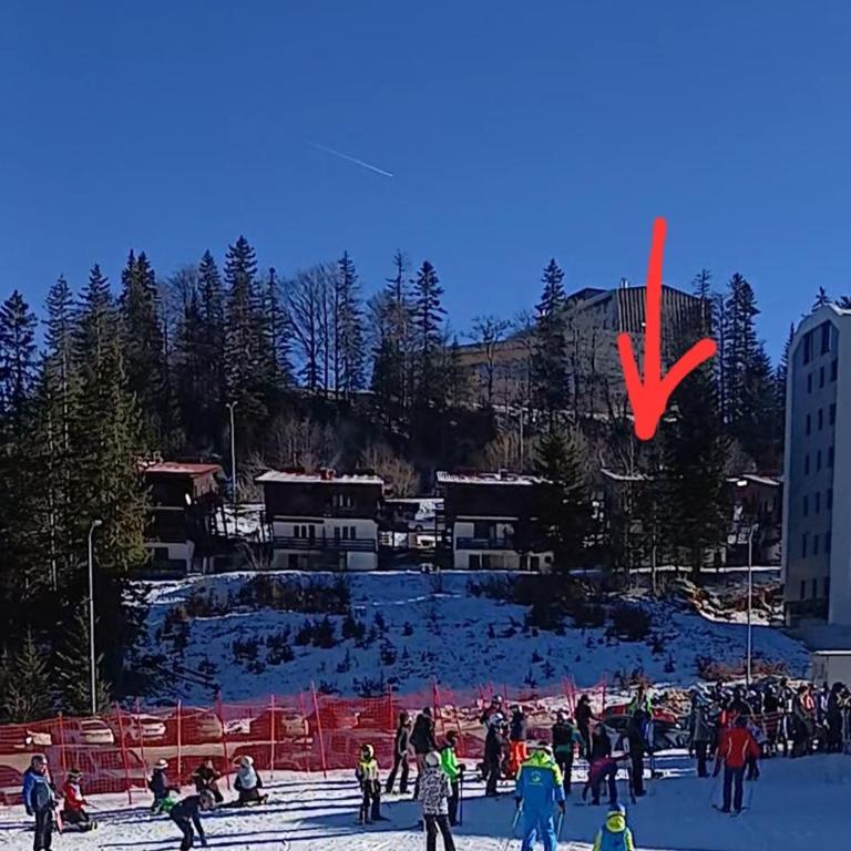 Jahorina Ski View Apartman - One-Bedroom Apartment - 3
