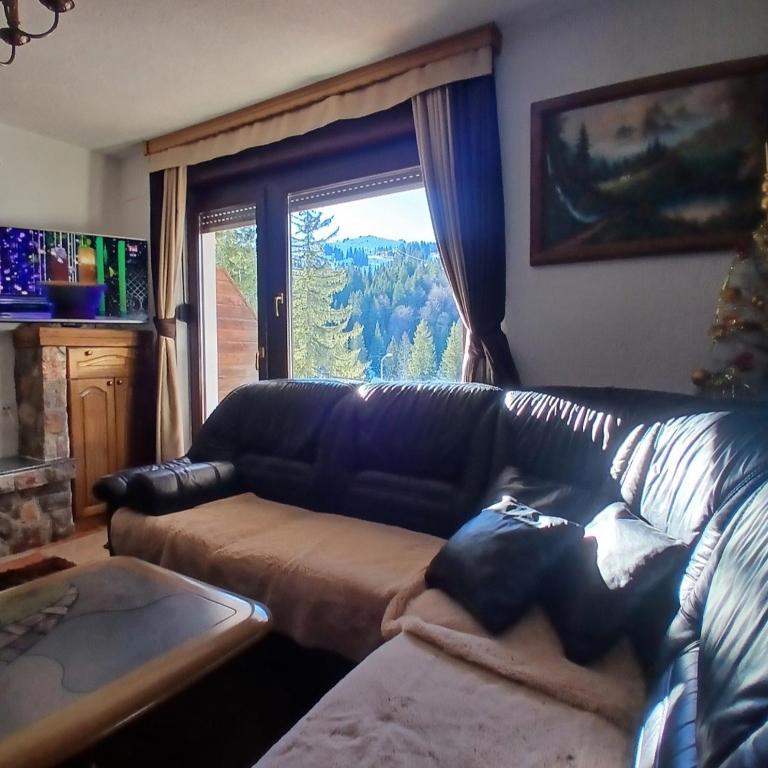 Jahorina Ski View Apartman - One-Bedroom Apartment - 5