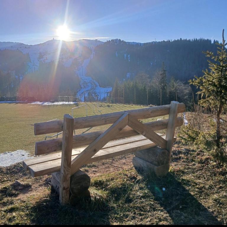 Jahorina Ski View Apartman - One-Bedroom Apartment - 12