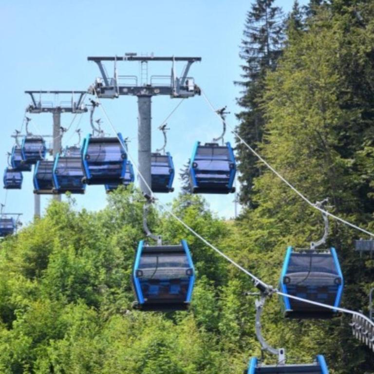 Jahorina Ski View Apartman - One-Bedroom Apartment - 16