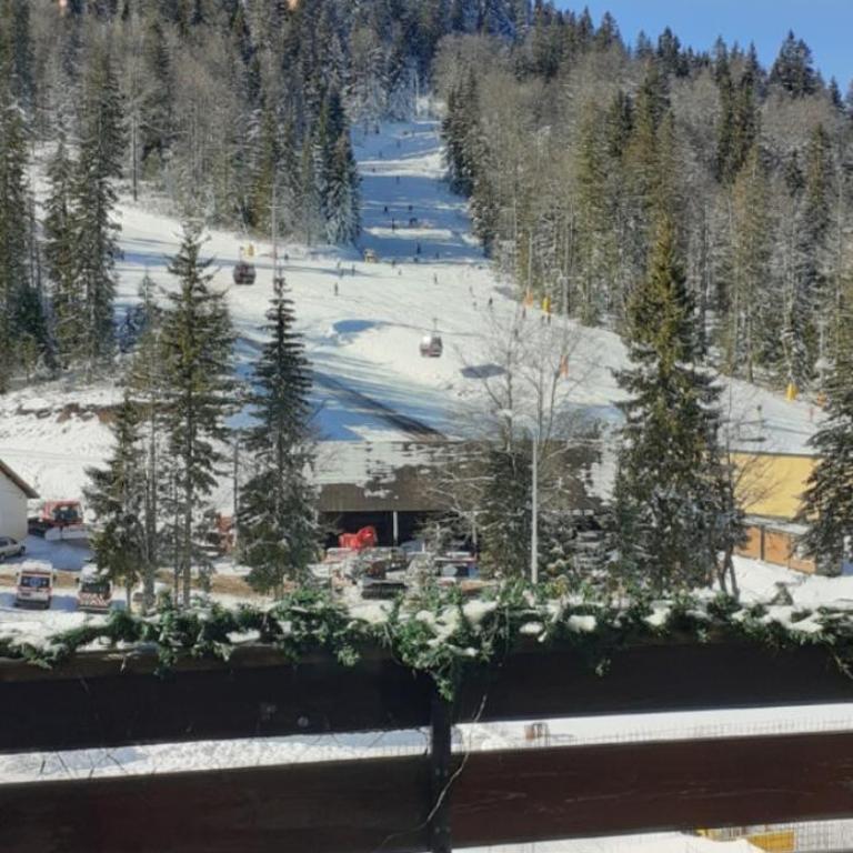 Jahorina Ski View Apartman - One-Bedroom Apartment - 17