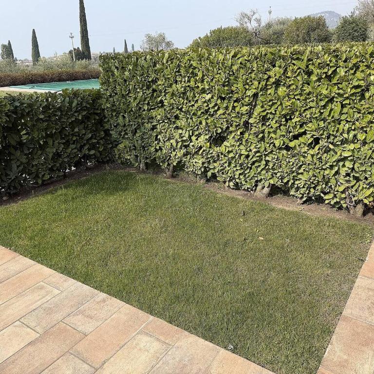 Orizzonte Bardolino – Relax sul Lago di Garda - Appartamento con 2 Camere da Letto - 21