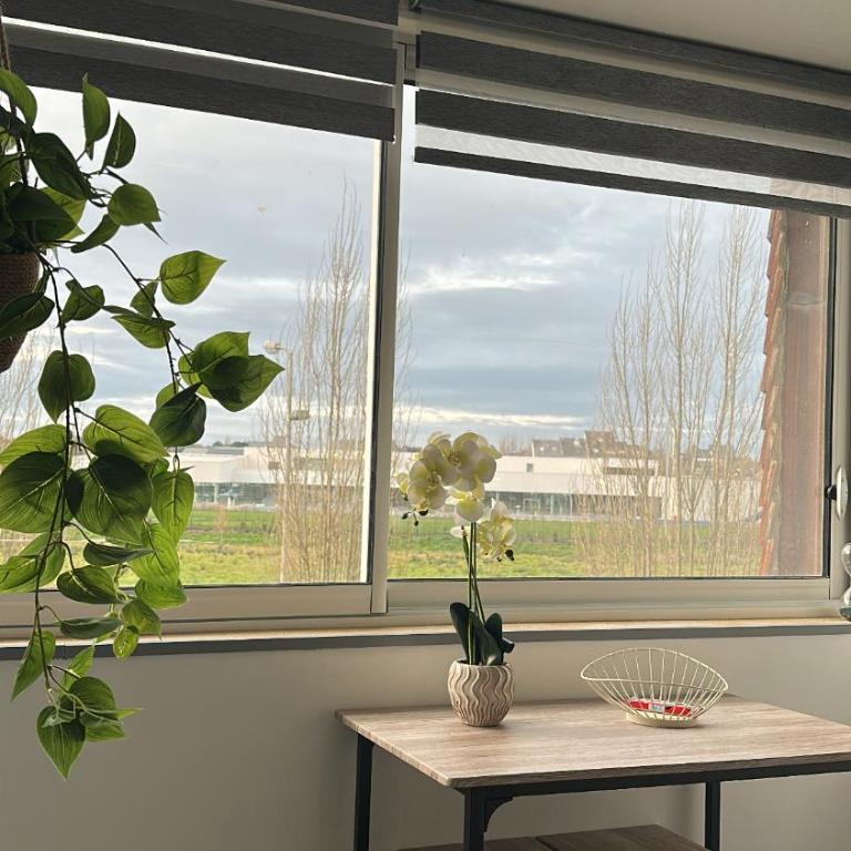 Appartement neuf 1 à 4 personnes - One-Bedroom Apartment - 2