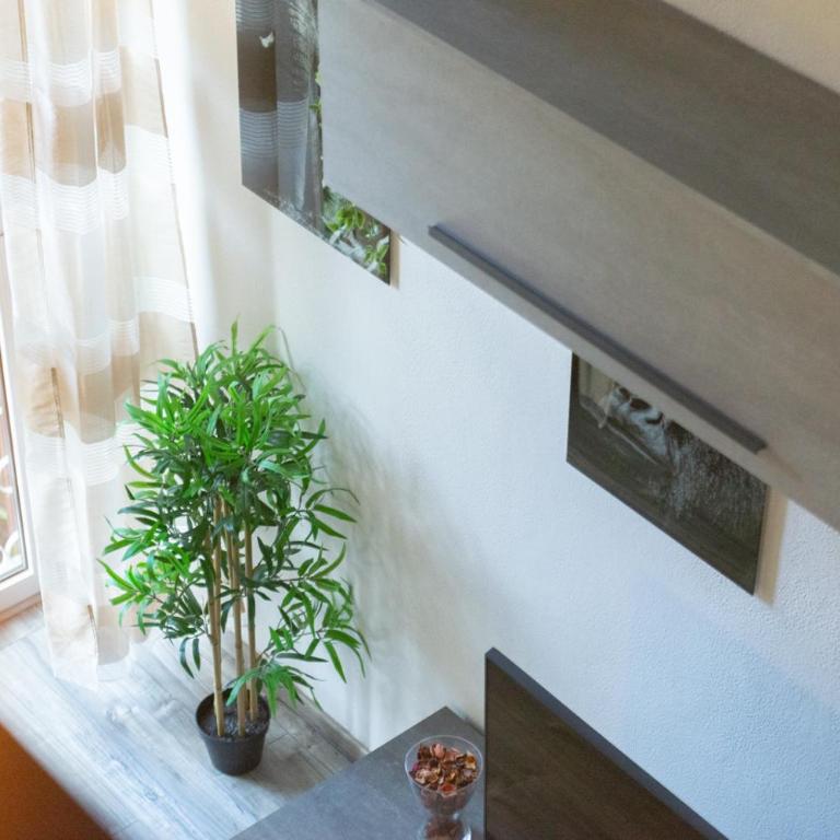 Orlando apartment - Two-Bedroom Apartment - 13