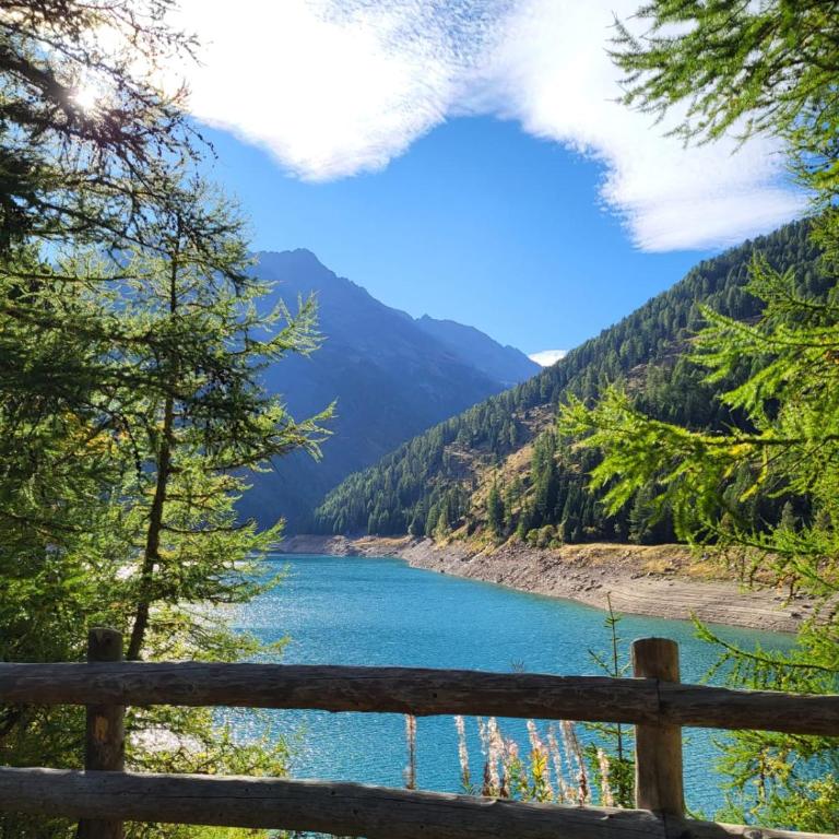 Alp Tirol Home - Appartamento con 1 Camera da Letto - 17
