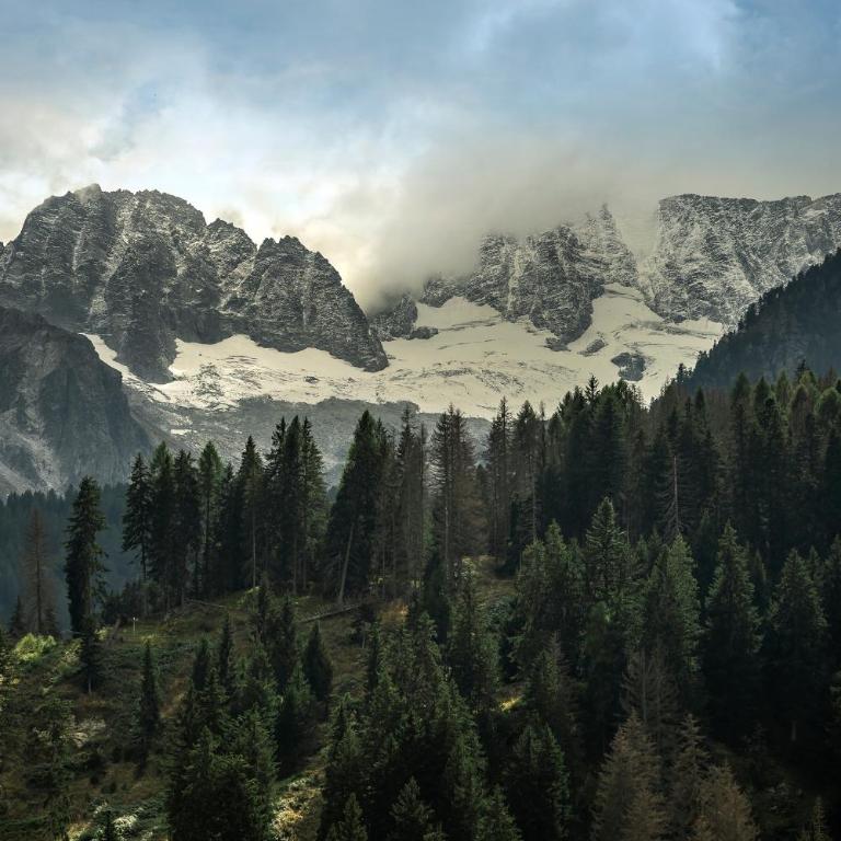 Alp Tirol Home - Appartamento con 1 Camera da Letto - 22