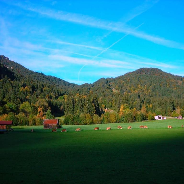 Zoberhof - Ferienhof zum Zoberbauer - Apartment mit schöner Aussicht - 4