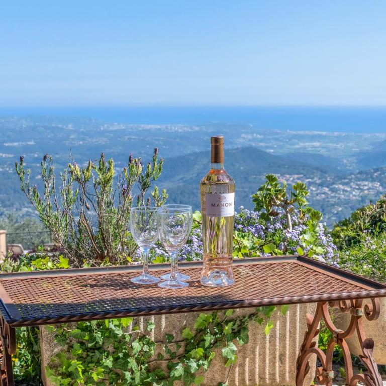 Villa Mas du Chene in a private domain - Villa - Vue sur Mer - 49