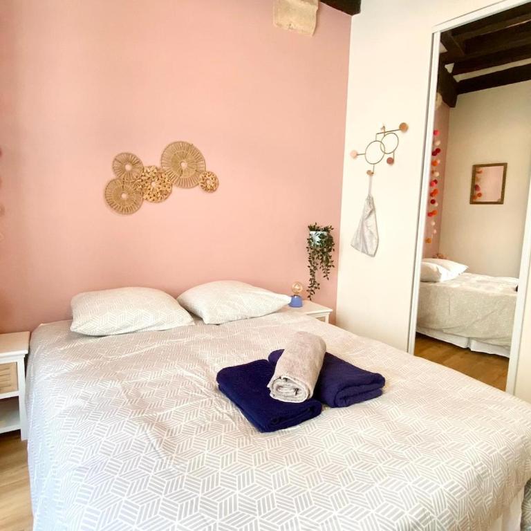 Le Plumereau - 1 min Place Plumereau - One-Bedroom Apartment - 13