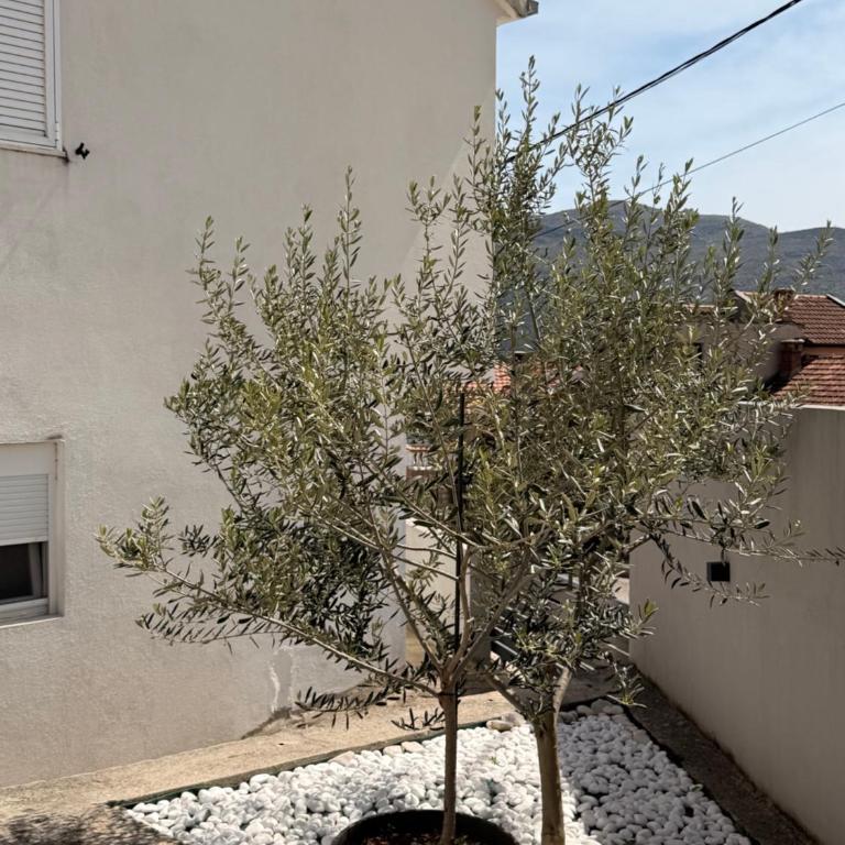 Apartmani Andrić - Stylish & Peaceful Apartment with Free Parking - 10 min Walk to Old Town - Dvokrevetna Soba s Bračnim Krevetom/ 2 Zasebna Kreveta i Pogledom - 13