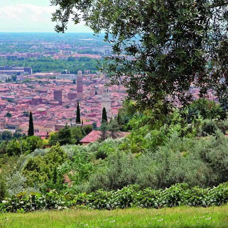 Villa Isidoro ampio parco, piscina privata, arte e giochi , natura e fitness - Villa Deluxe - 59