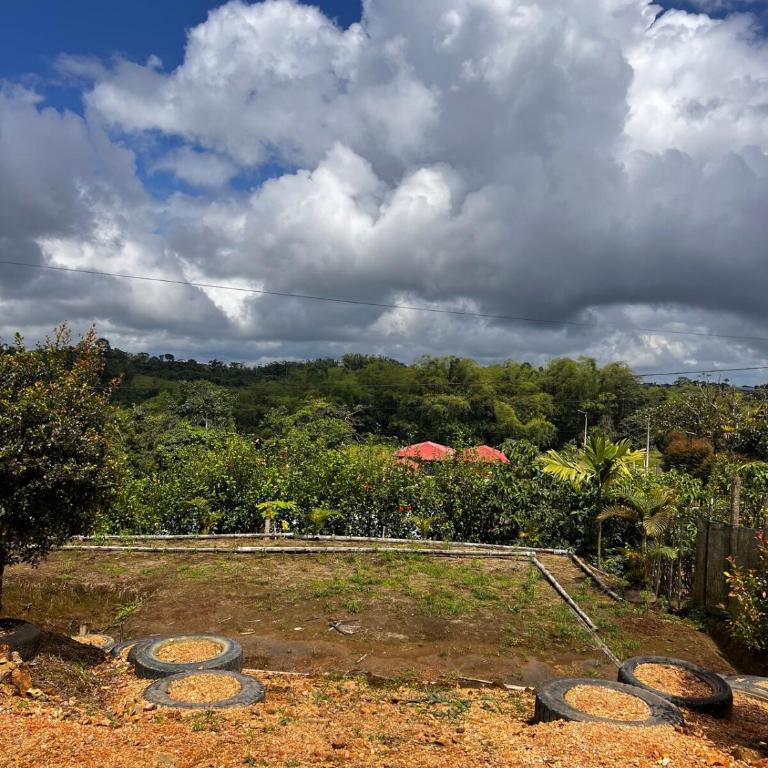 Quinta Analia - Two-Bedroom House - 24