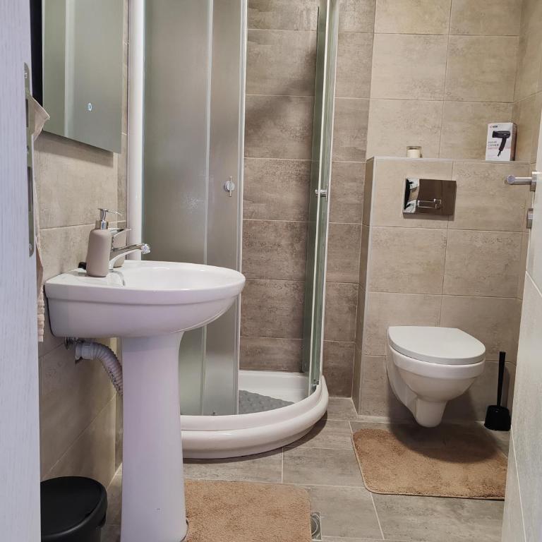 Apartmani NANA - Apartman sa 1 Spavaćom Sobom - 11