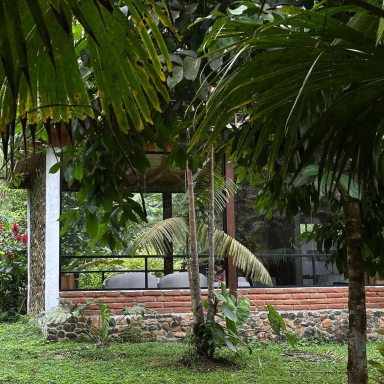 Boana Explora Pachijal - Chalet - 26