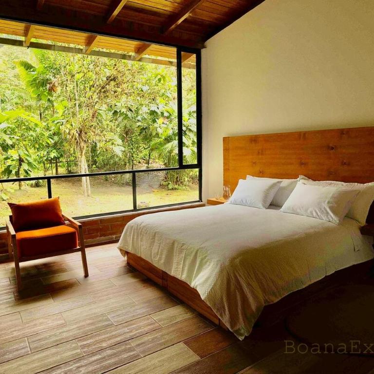 Boana Explora Pachijal - Chalet - 22