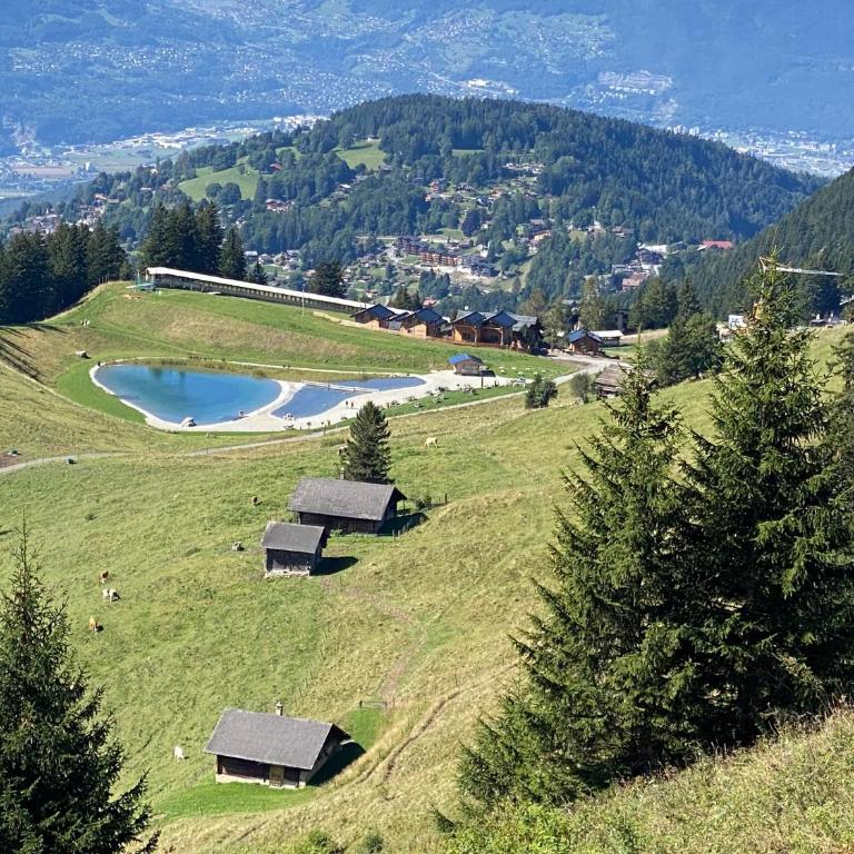 Chalet L'Adret, 3,5 pièces dans les combles. - Apartment mit 1 Schlafzimmer - 36