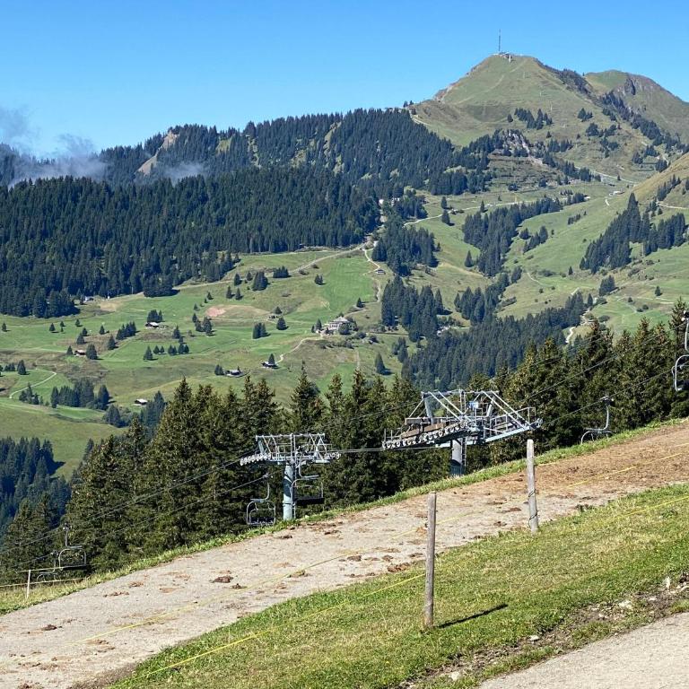 Chalet L'Adret, 3,5 pièces dans les combles. - Apartment mit 1 Schlafzimmer - 37