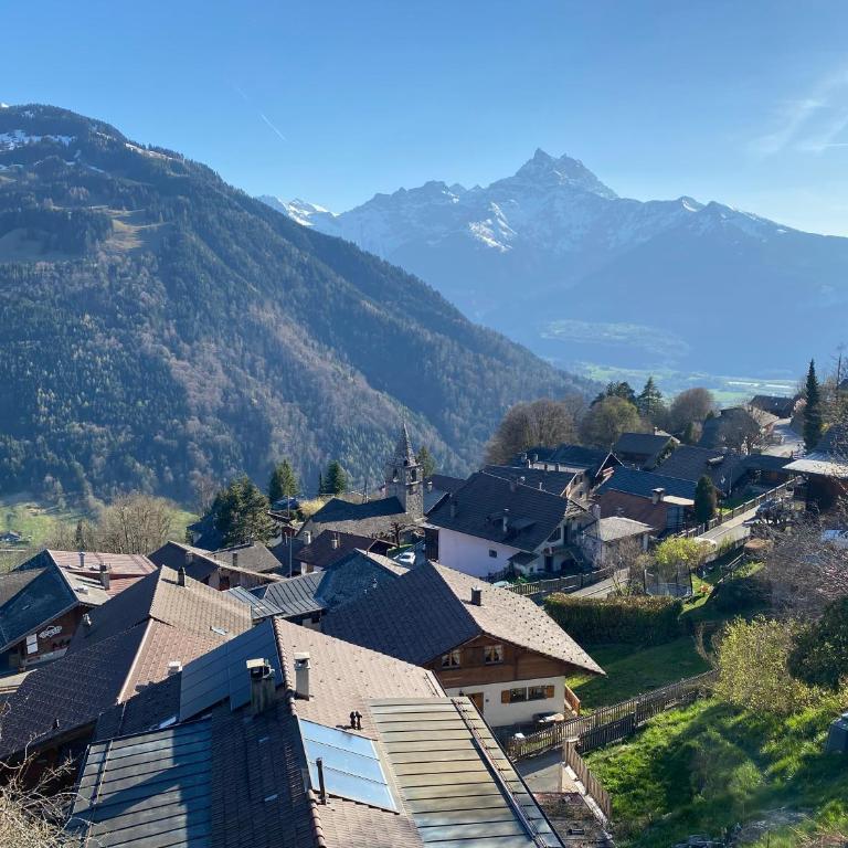 Chalet L'Adret, 3,5 pièces dans les combles. - Apartment mit 1 Schlafzimmer - 38