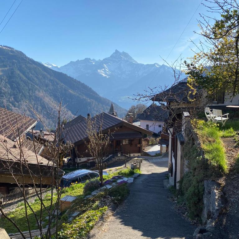 Chalet L'Adret, 3,5 pièces dans les combles. - Apartment mit 1 Schlafzimmer - 44