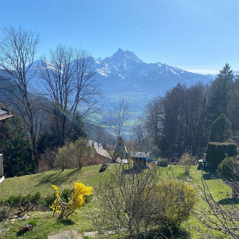Chalet L'Adret, 3,5 pièces dans les combles. - Apartment mit 1 Schlafzimmer - 45