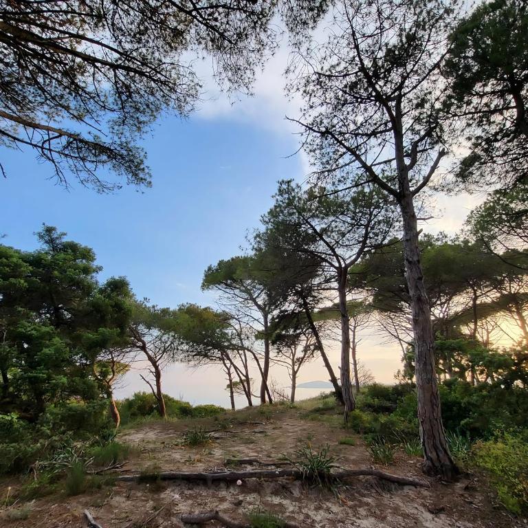 Seaside Escape to Alghero in Sardinia - Two-Bedroom House - 36