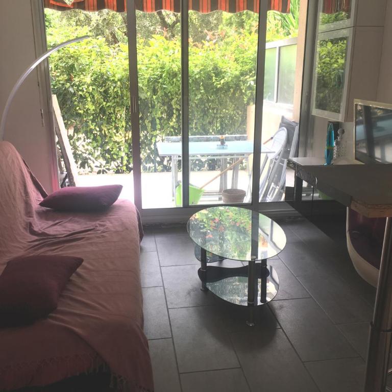 Bel appartement à Juan Les Pins, à 700 m des plages et proche du vieil Antibes - Appartement 1 Chambre - 1