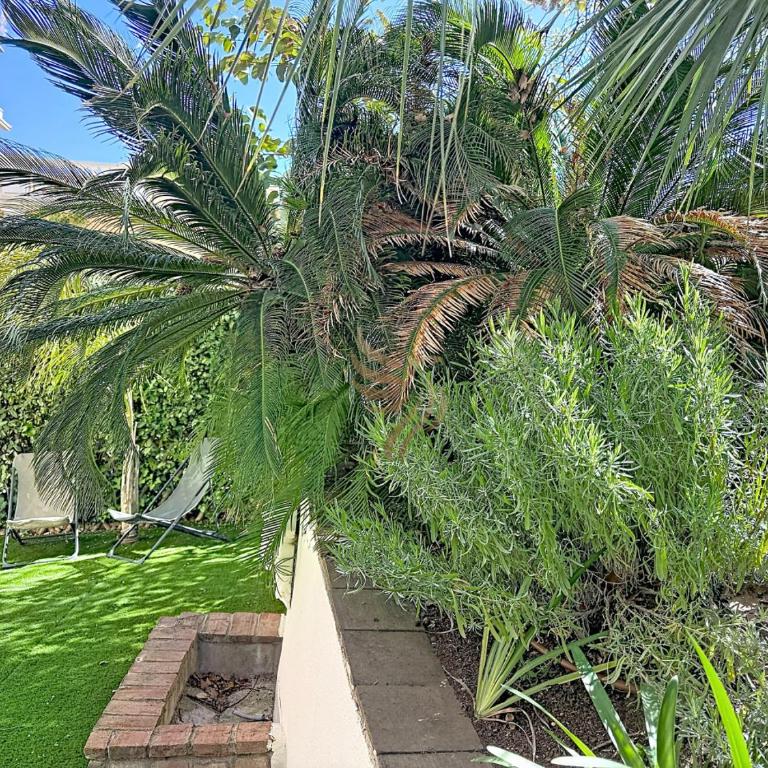 L Oasis Florentine T2 Jardin wifi clim - Apartamento de 1 dormitorio con vistas al jardín - 5