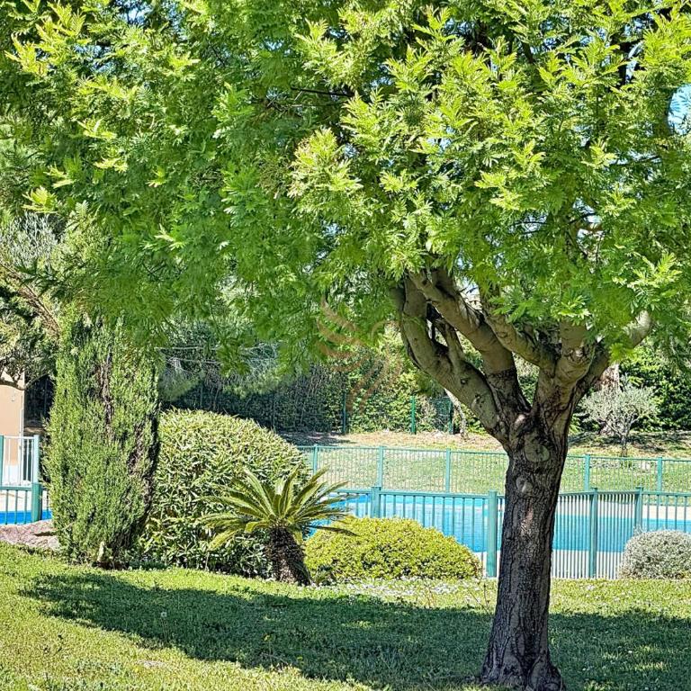 L Oasis Florentine T2 Jardin wifi clim - Apartamento de 1 dormitorio con vistas al jardín - 35