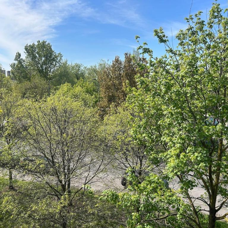Convenient attic, City Life, San Siro, Highway - Appartamento con 1 Camera da Letto - 21