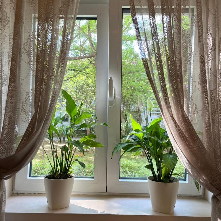 City Green Oasis - Apartman sa 1 Spavaćom Sobom - 2