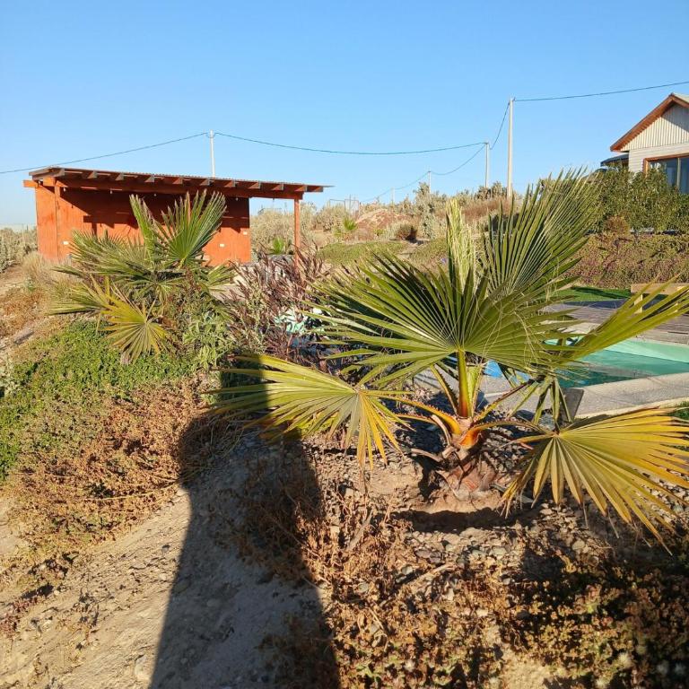Cabaña en Parcela Vista Panorámica al Mar - One-Bedroom Apartment - 26