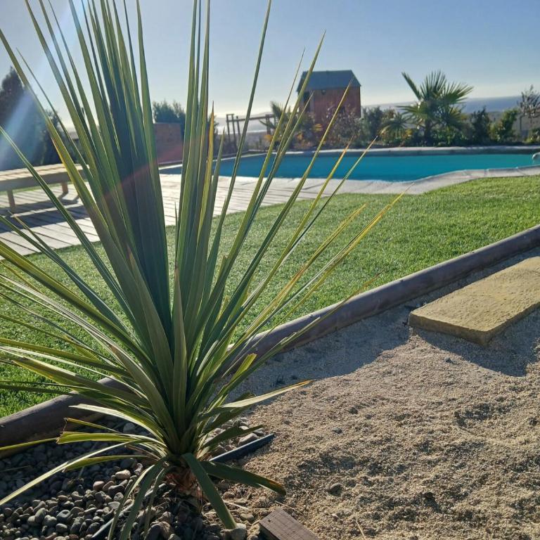 Cabaña en Parcela Vista Panorámica al Mar - One-Bedroom Apartment - 50