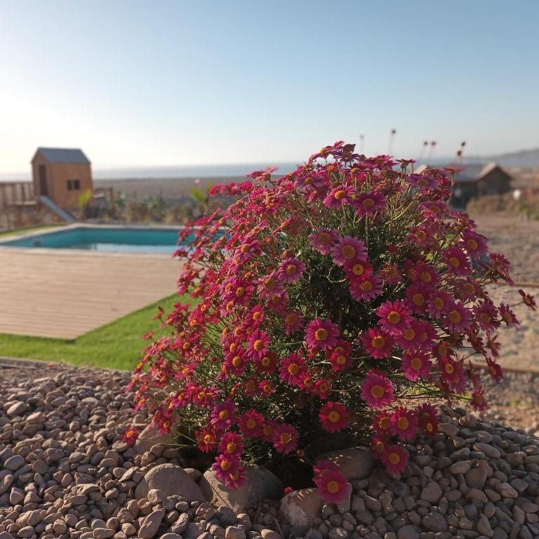 Cabaña en Parcela Vista Panorámica al Mar - One-Bedroom Apartment - 63