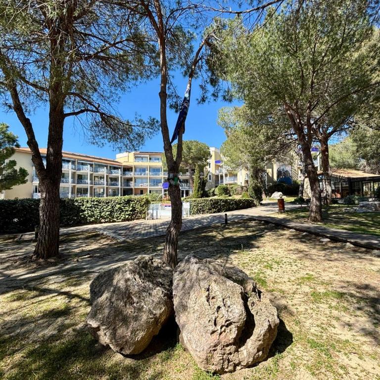 Le Lodge des Pins, terrasse & piscine en pinède - Appartement avec Terrasse - 21