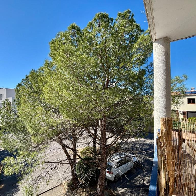 Le Lodge des Pins, terrasse & piscine en pinède - Appartement avec Terrasse - 15