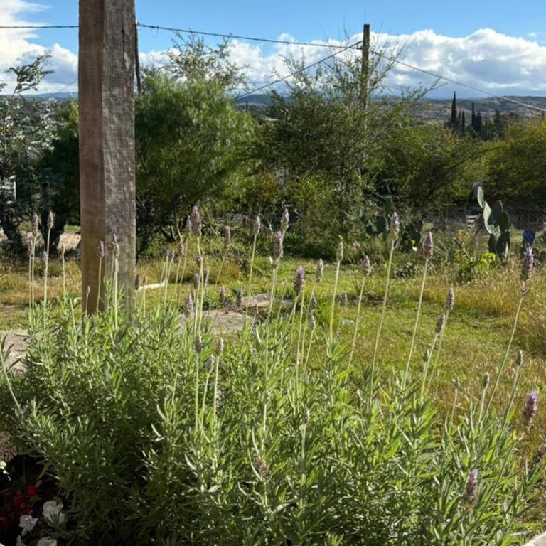 Casa Tanti, Luz de Campo - One-Bedroom House - 5