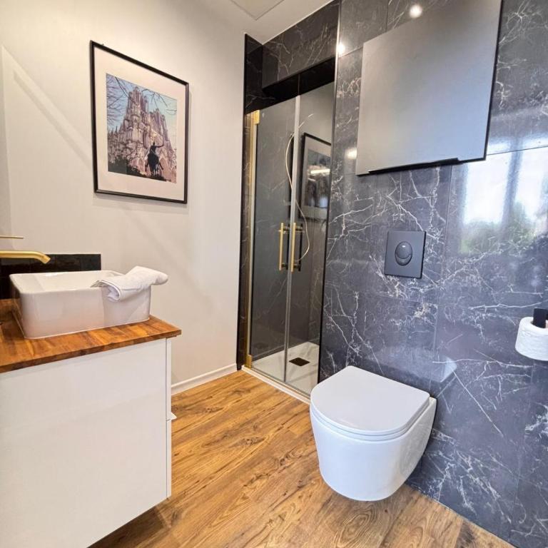2 Neufchâtel studio agréable et cosy tout équipé - Estudio - 5