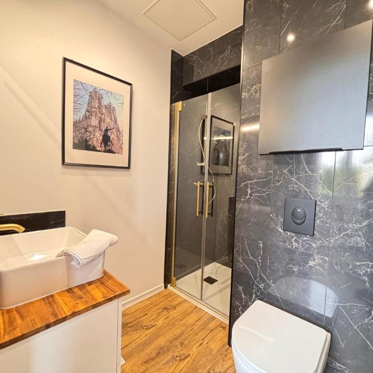 2 Neufchâtel studio agréable et cosy tout équipé - Estudio - 8